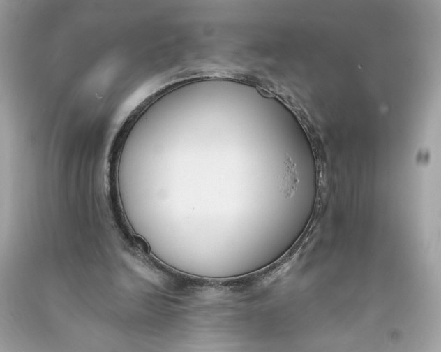 X0000090750246200708101731