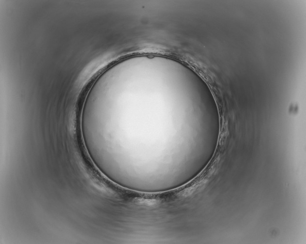 X0000090750247200708101731