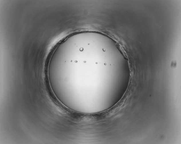 X0000090750248200708101731