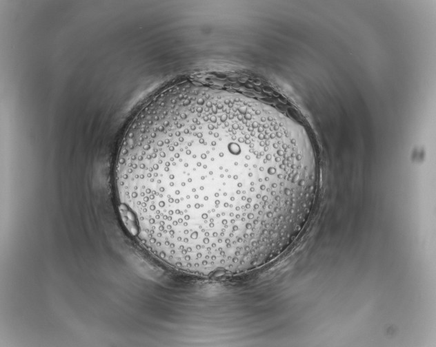 X0000090750249200708101731