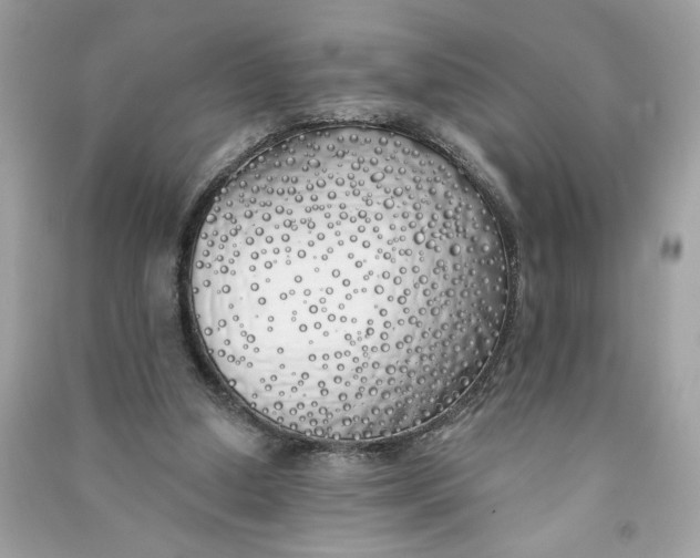 X0000090750250200708101731