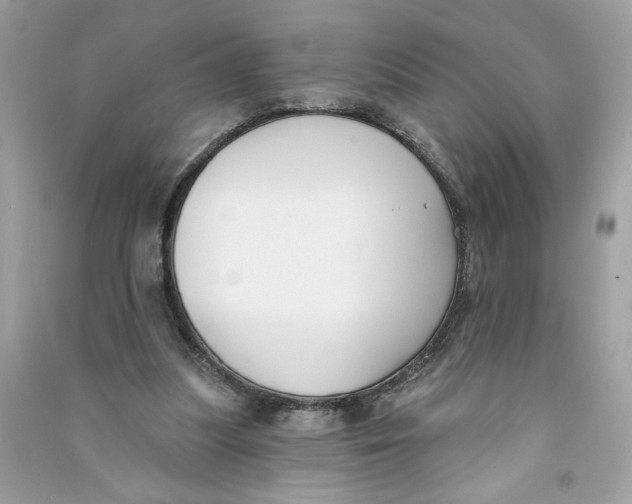 X0000090750251200708101731