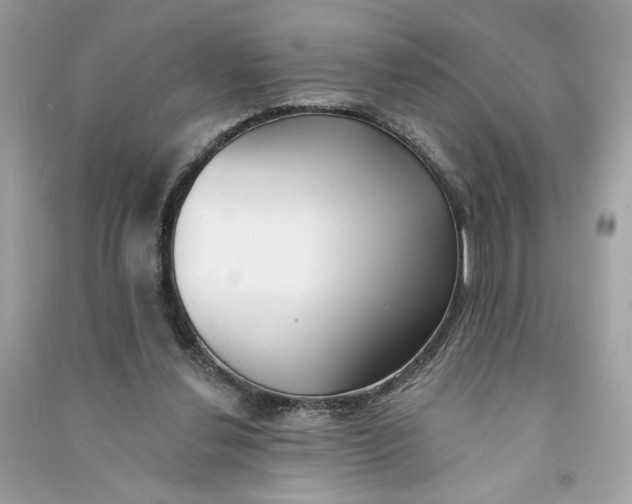 X0000090750252200708101731