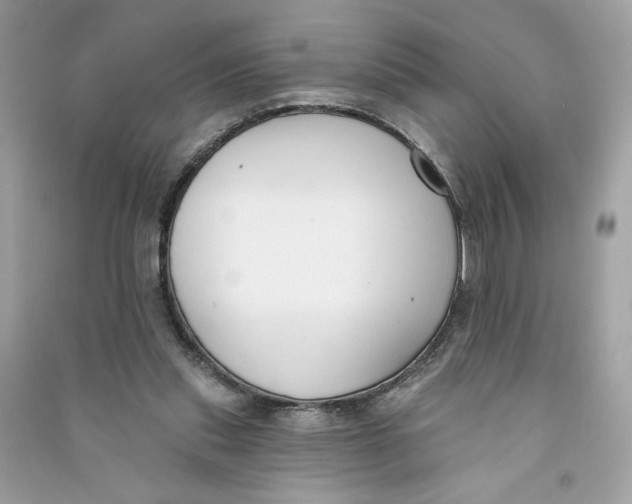 X0000090750253200708101731
