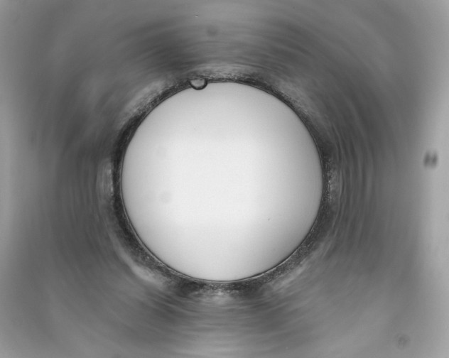 X0000090750254200708101731