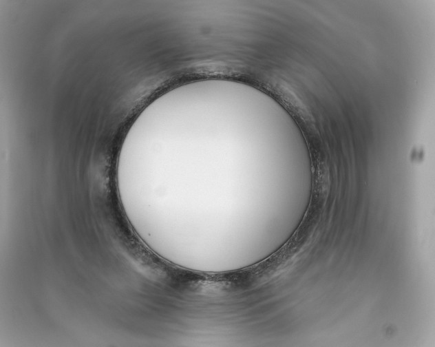 X0000090750255200708101731