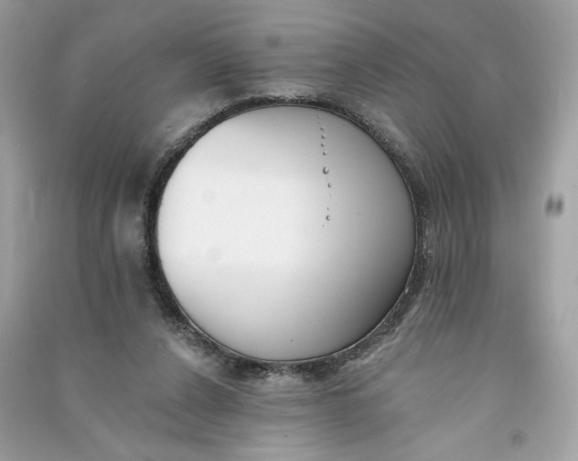 X0000090750256200708101731