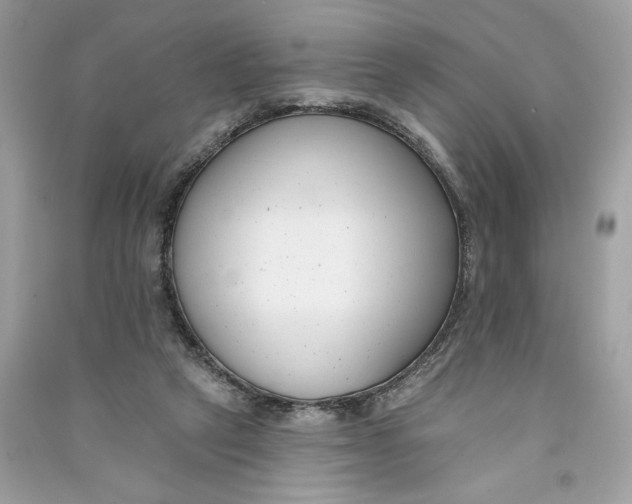 X0000090750257200708101731