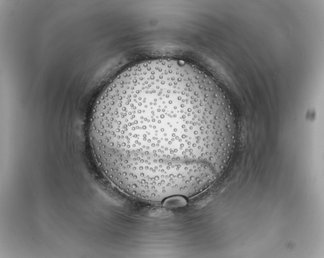 X0000090750258200708101731