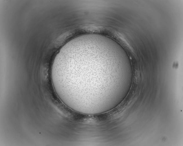 X0000090750259200708101731