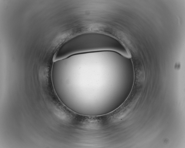 X0000090750260200708101731