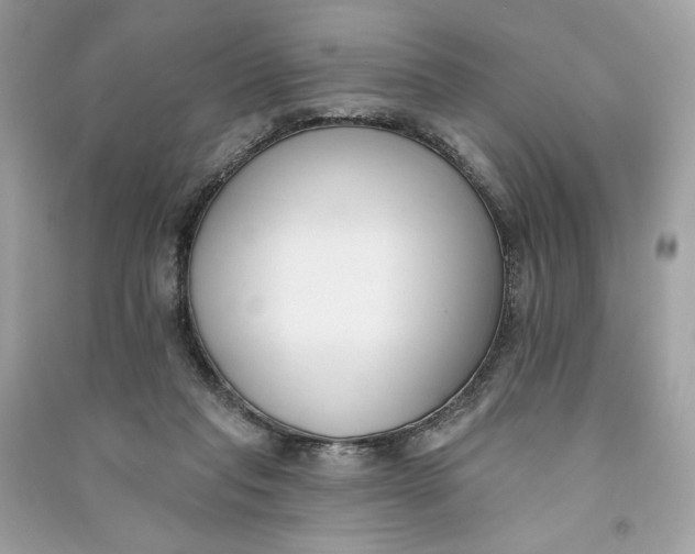 X0000090750261200708101731
