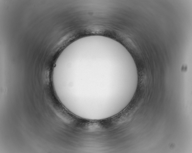 X0000090750262200708101731