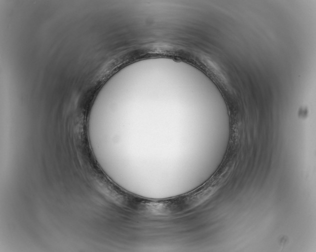X0000090750265200708101731