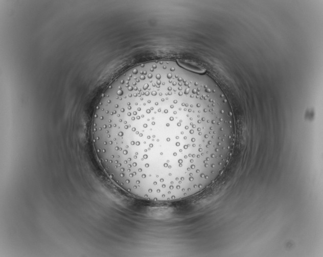 X0000090750266200708101731