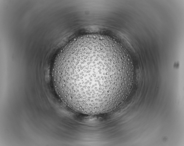 X0000090750267200708101731