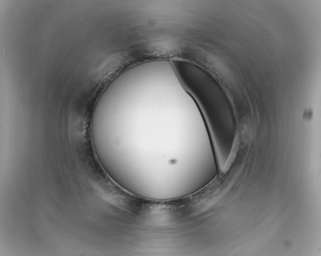 X0000090750268200708101731