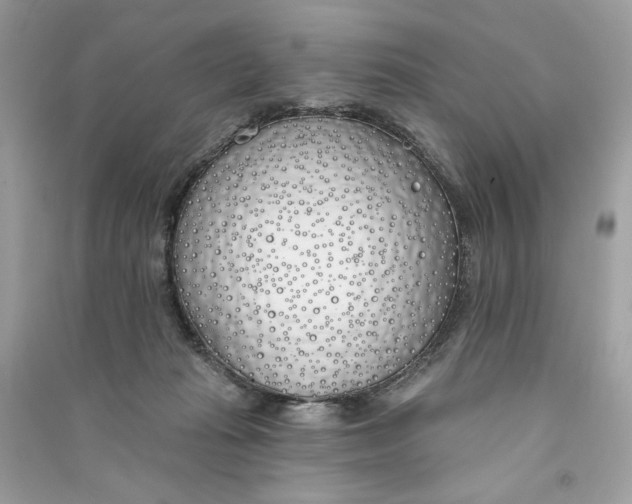 X0000090750269200708101731
