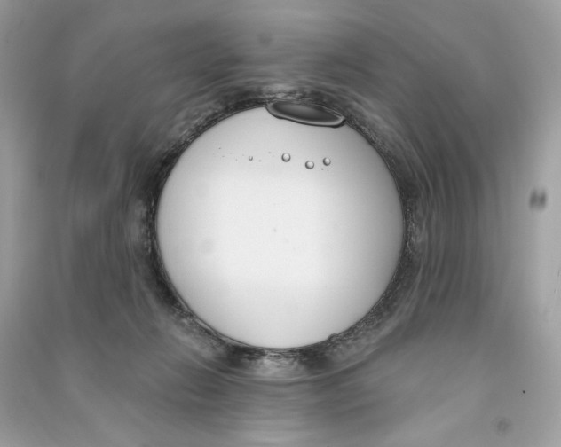 X0000090750270200708101731