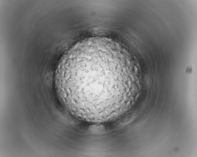 X0000090750271200708101731