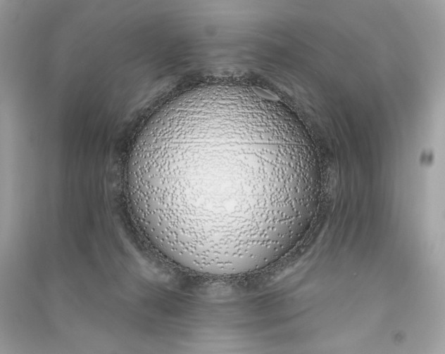 X0000090750272200708101731