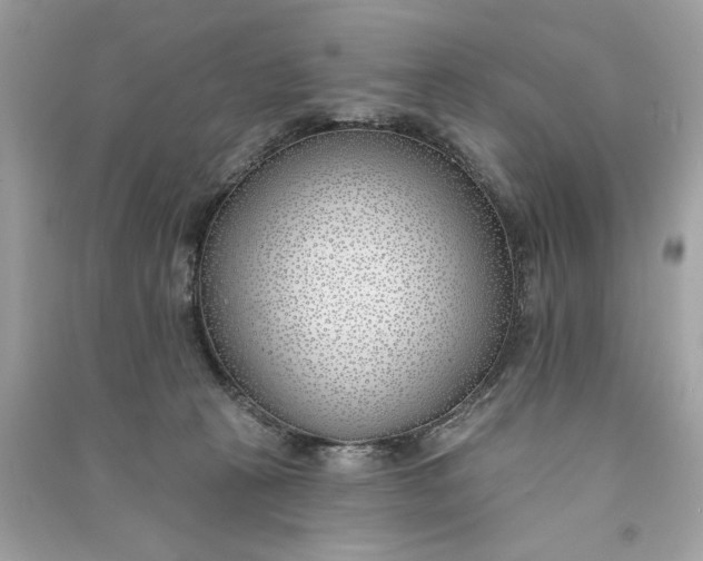 X0000090750273200708101731