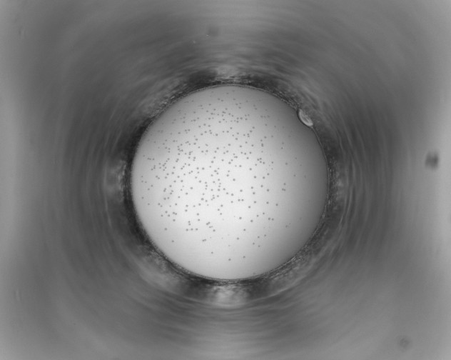 X0000090750275200708101731