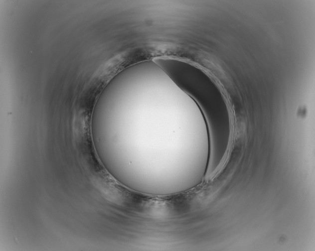 X0000090750276200708101731