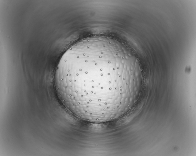 X0000090750277200708101731