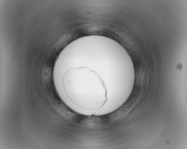X0000090750278200708101731