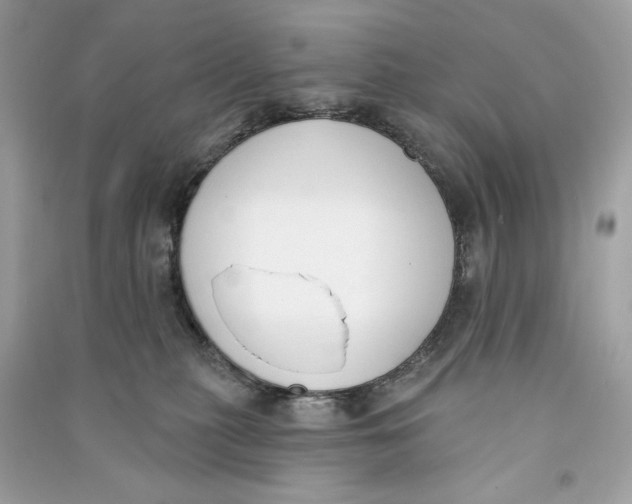 X0000090750279200708101731