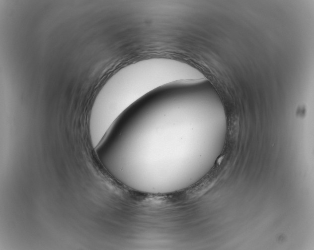 X0000090750280200708101731