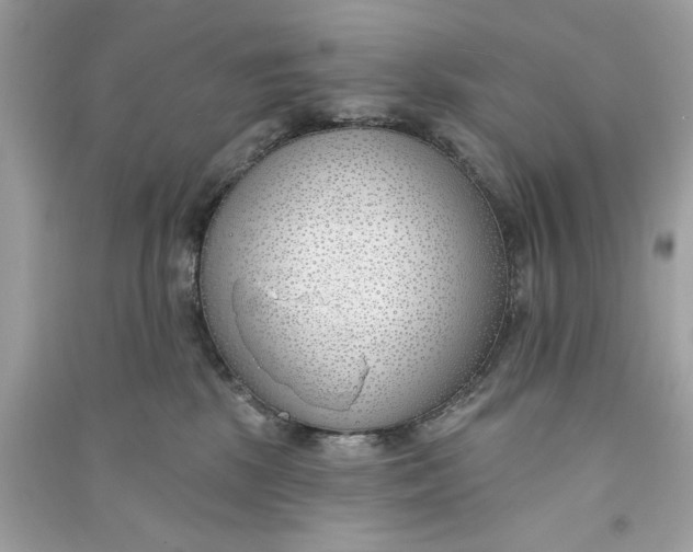 X0000090750281200708101731