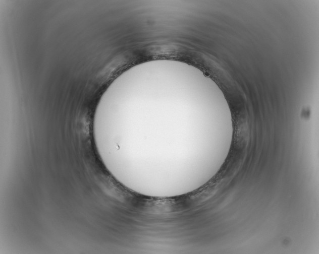 X0000090750282200708101731