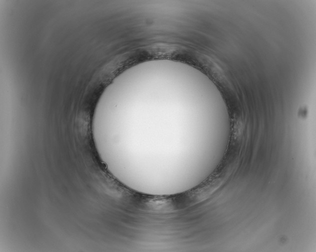 X0000090750283200708101731