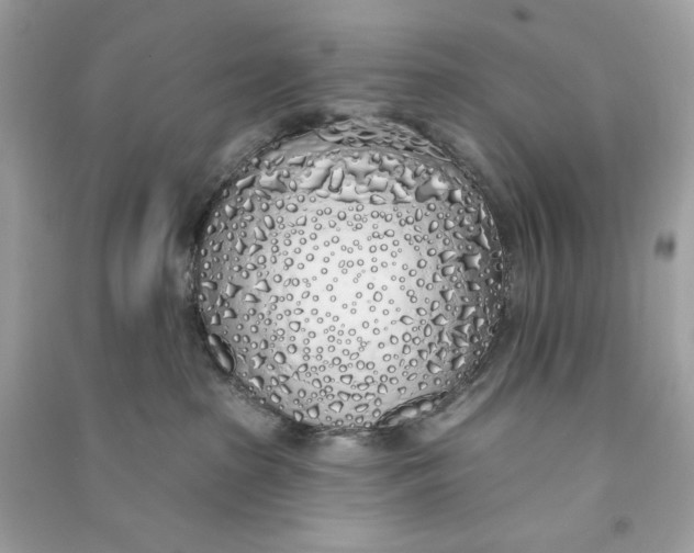 X0000090750285200708101732
