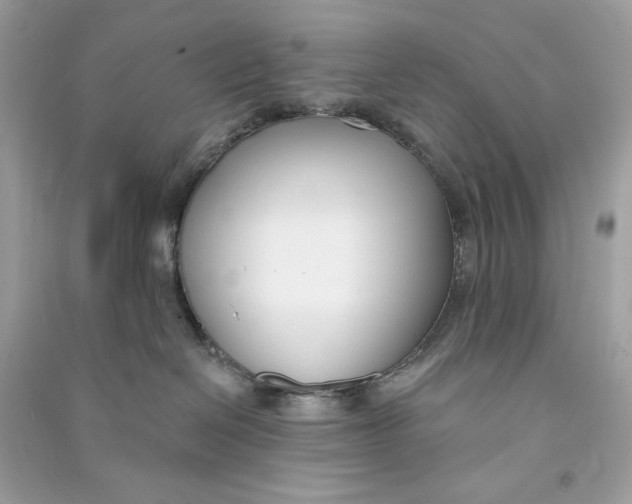 X0000090750286200708101732