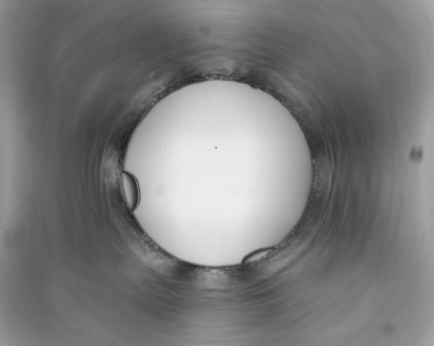 X0000090750287200708101732