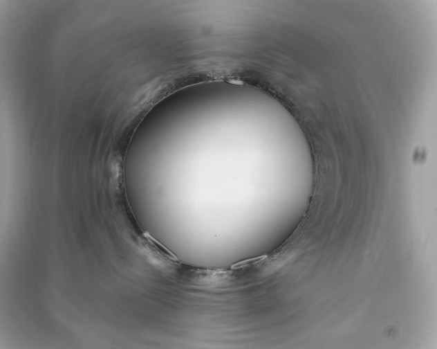 X0000090750288200708101732