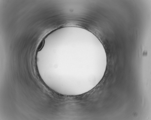 X0000090750289200708101731