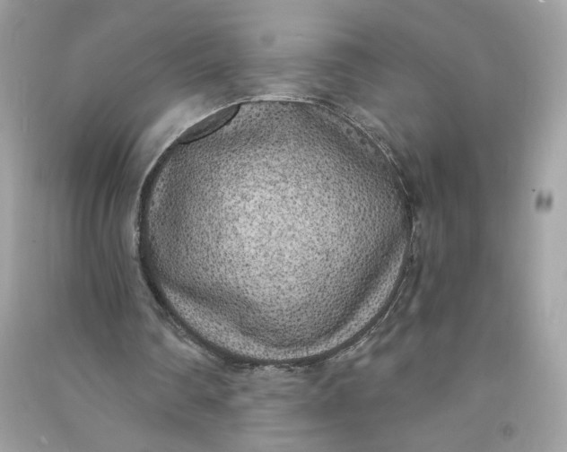 X0000090750290200708101731