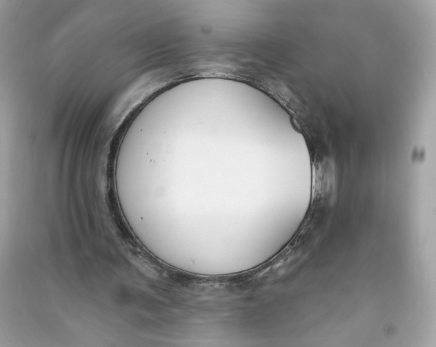 X0000090750291200708101731