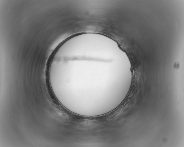 X0000090750292200708101731