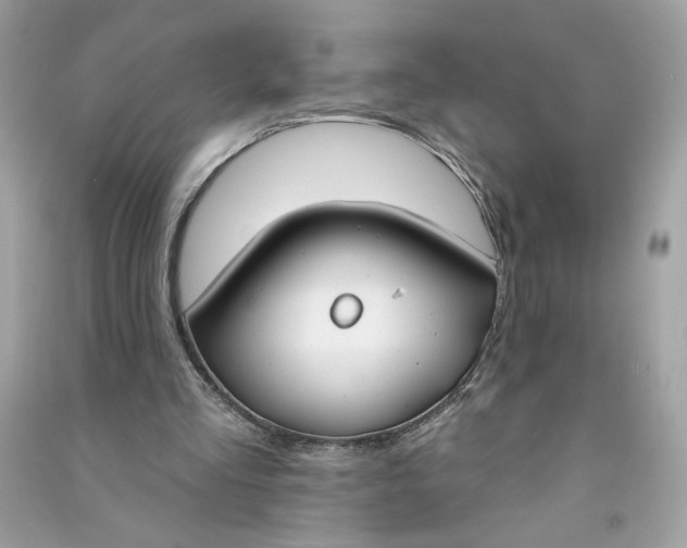 X0000090750293200708101731