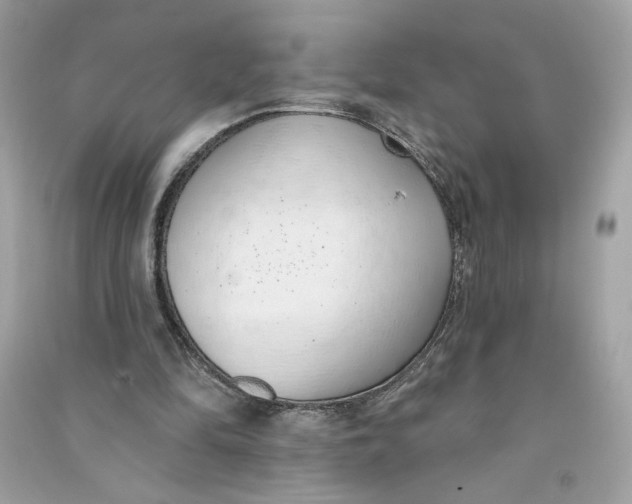 X0000090750294200708101731