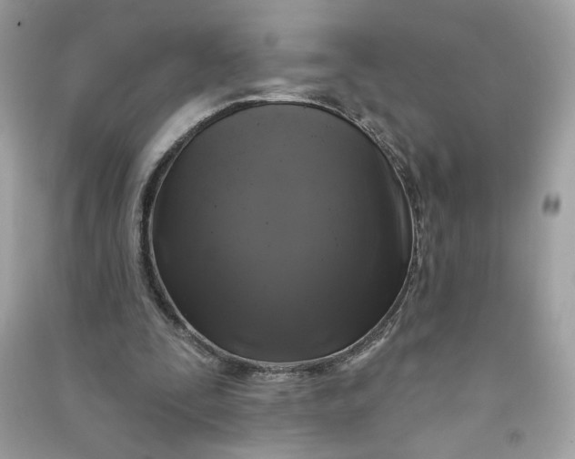 X0000090750295200708101731