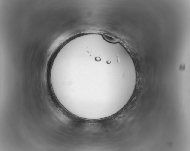 X0000090750296200708101731