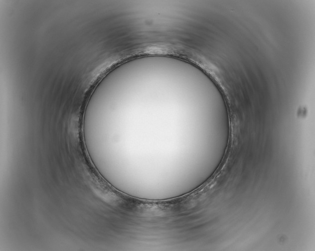 X0000090750297200708101731