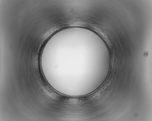 X0000090750298200708101731