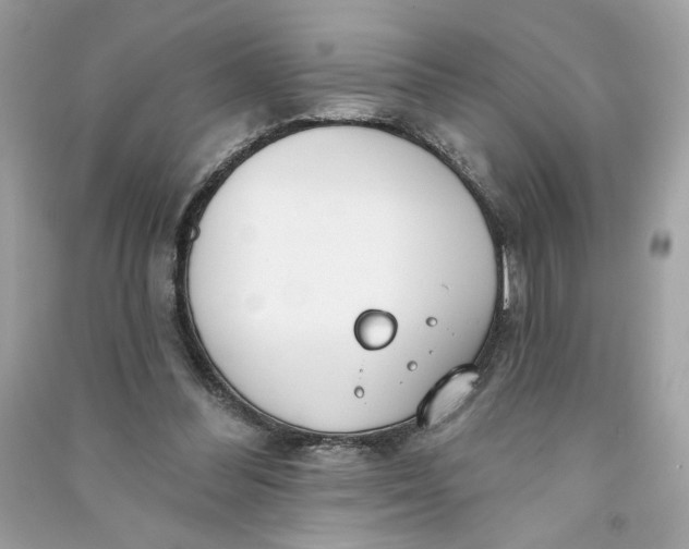 X0000090750300200708101731